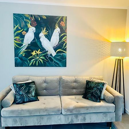 Appartement De Standing Proche Centre Ville Et Gare 牟罗兹 外观 照片